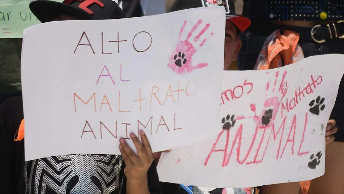 El Movimiento Animalista en Puebla se manifestará este 27 de julio frente a la Casa de Justicia para el Adolescente